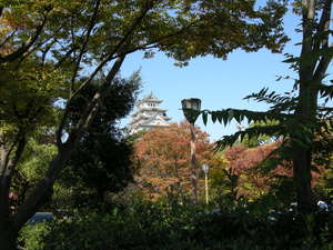 DSCN0154.jpg