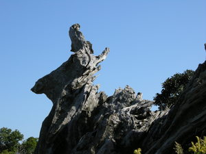 DSCN0247.jpg
