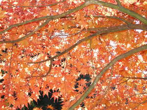 DSCN0255.jpg