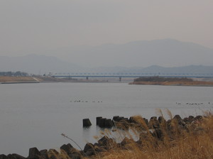 IMG_2045.jpg