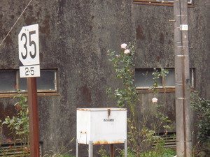 PA200009-1.jpg