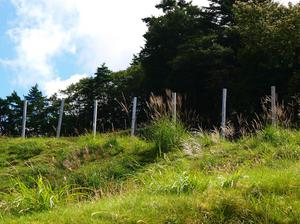 P9114252-1.JPG