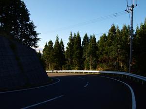 P9114255-1.JPG